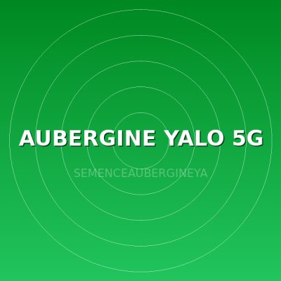 AUBERGINE YALO 5G