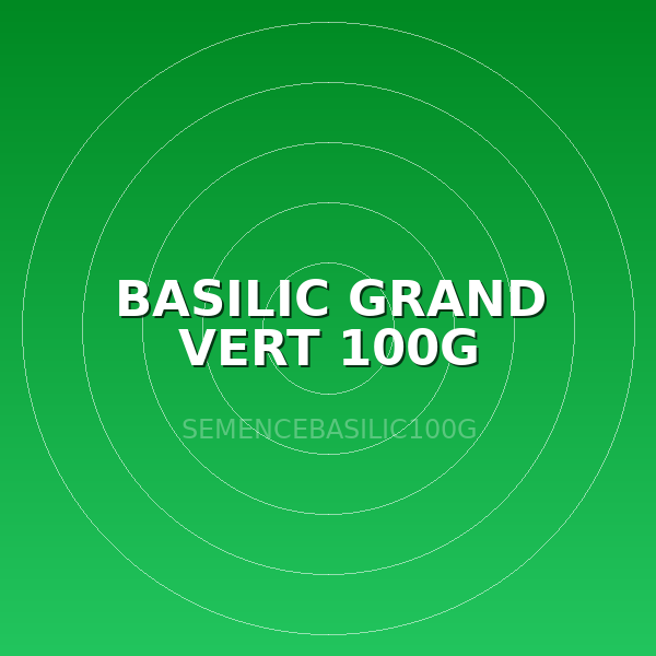 BASILIC GRAND VERT 100G