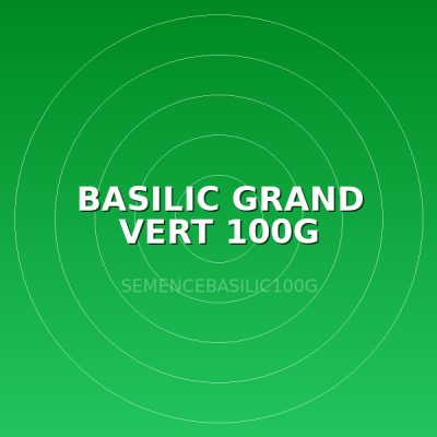 BASILIC GRAND VERT 100G