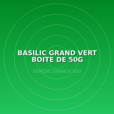 BASILIC GRAND VERT BOITE DE 50G