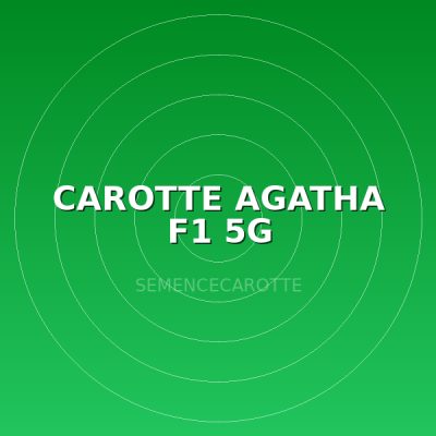 CAROTTE AGATHA F1 5G
