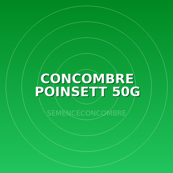 CONCOMBRE POINSETT 50G