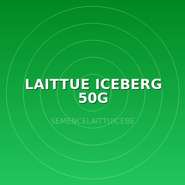 LAITTUE ICEBERG 50G