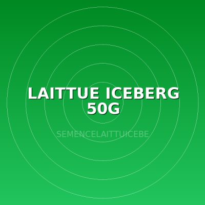 LAITTUE ICEBERG 50G