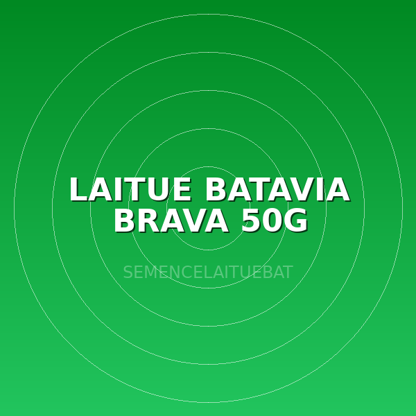 LAITUE BATAVIA BRAVA 50G