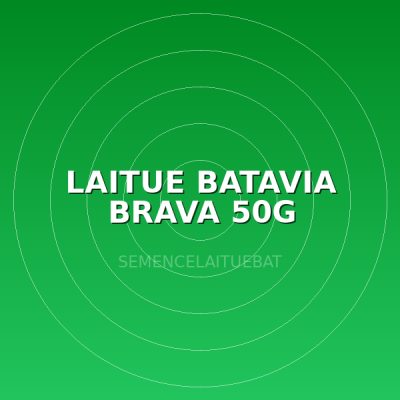 LAITUE BATAVIA BRAVA 50G