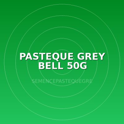 PASTEQUE GREY BELL 50G