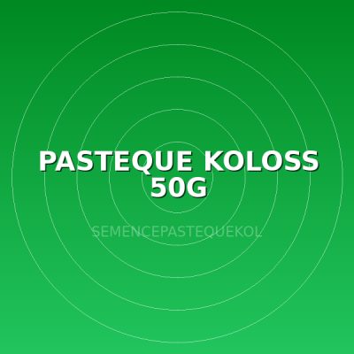 PASTEQUE KOLOSS 50G