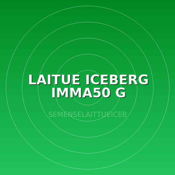 LAITUE ICEBERG IMMA50 G