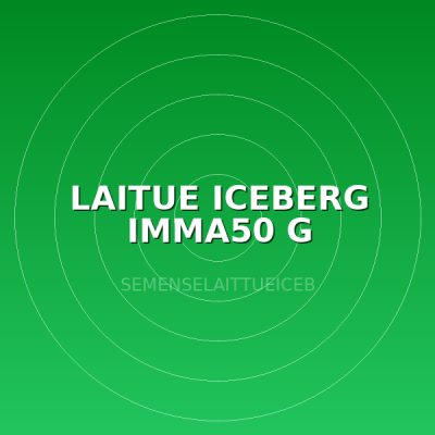 LAITUE ICEBERG IMMA50 G