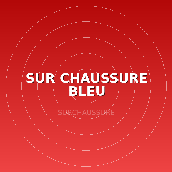 SUR CHAUSSURE BLEU