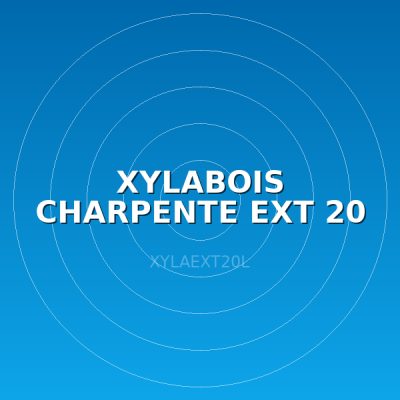 XYLABOIS CHARPENTE EXT 20 L