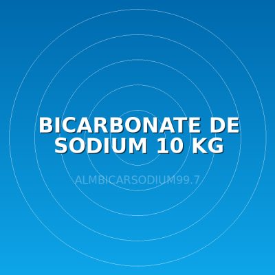 BICARBONATE DE SODIUM 10 KG
