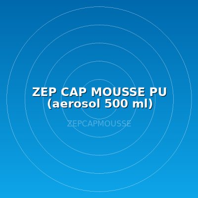ZEP CAP MOUSSE PU (aerosol 500 ml)