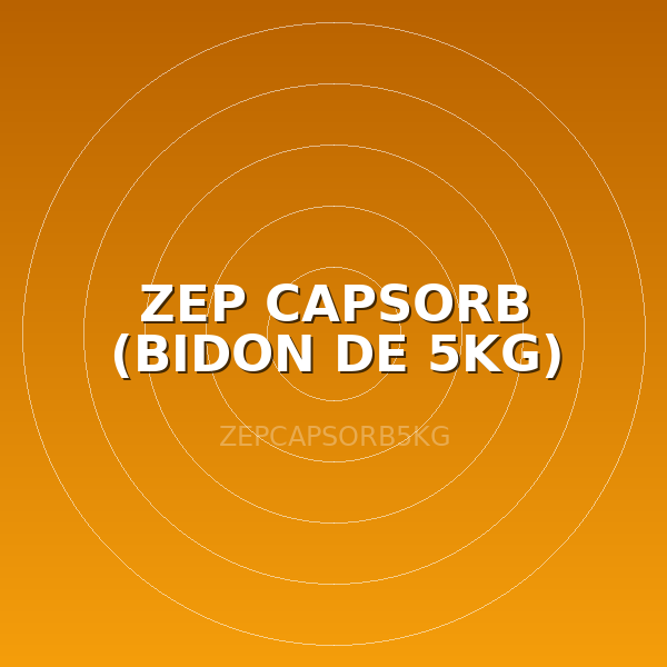 ZEP CAPSORB (BIDON DE 5KG)