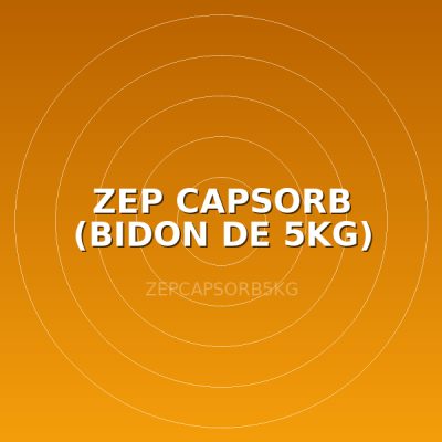 ZEP CAPSORB (BIDON DE 5KG)