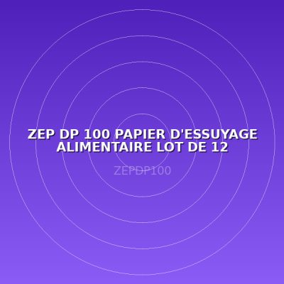 ZEP DP 100  PAPIER D'ESSUYAGE ALIMENTAIRE LOT DE 12