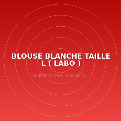 BLOUSE BLANCHE TAILLE L ( LABO )