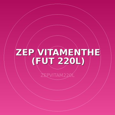 ZEP VITAMENTHE (FUT 220L)