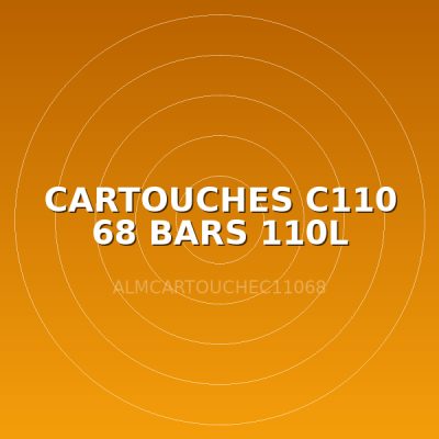 CARTOUCHES C110 68 BARS 110L