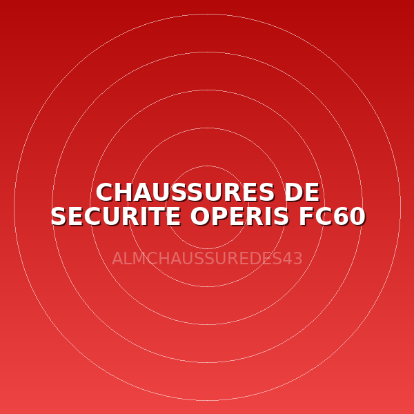 CHAUSSURES DE SECURITE OPERIS FC60 T45