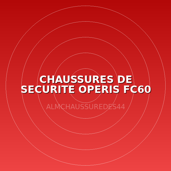 CHAUSSURES DE SECURITE OPERIS FC60 T44