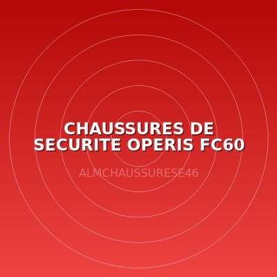 CHAUSSURES DE SECURITE OPERIS FC60 T46