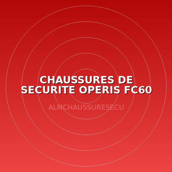CHAUSSURES DE SECURITE OPERIS FC60 T43