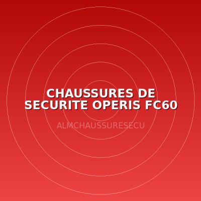 CHAUSSURES DE SECURITE OPERIS FC60 T43