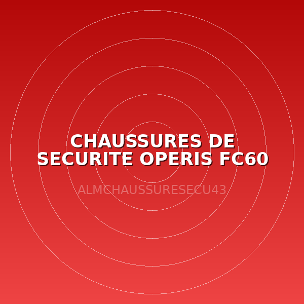 CHAUSSURES DE SECURITE OPERIS FC60 T39