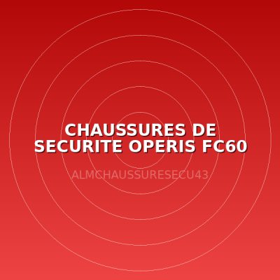 CHAUSSURES DE SECURITE OPERIS FC60 T39