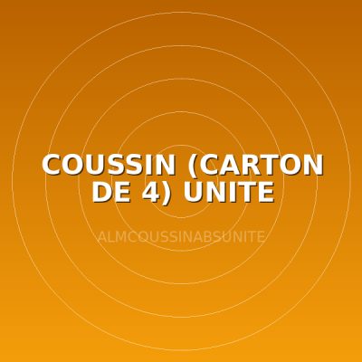 COUSSIN (CARTON DE 4) UNITE