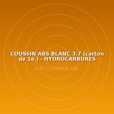 COUSSIN ABS BLANC 3.7 (carton de 16 ) - HYDROCARBURES