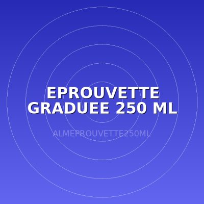 EPROUVETTE  GRADUEE 250 ML