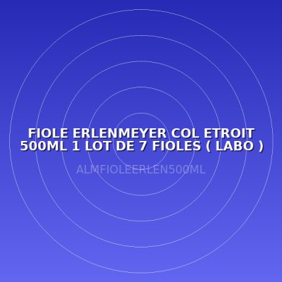 FIOLE ERLENMEYER COL ETROIT 500ML 1 LOT DE 7 FIOLES ( LABO )