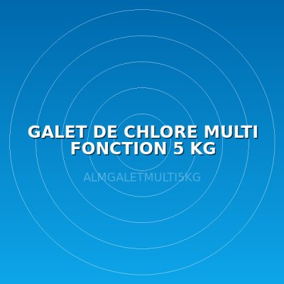 GALET DE CHLORE MULTI FONCTION 5 KG