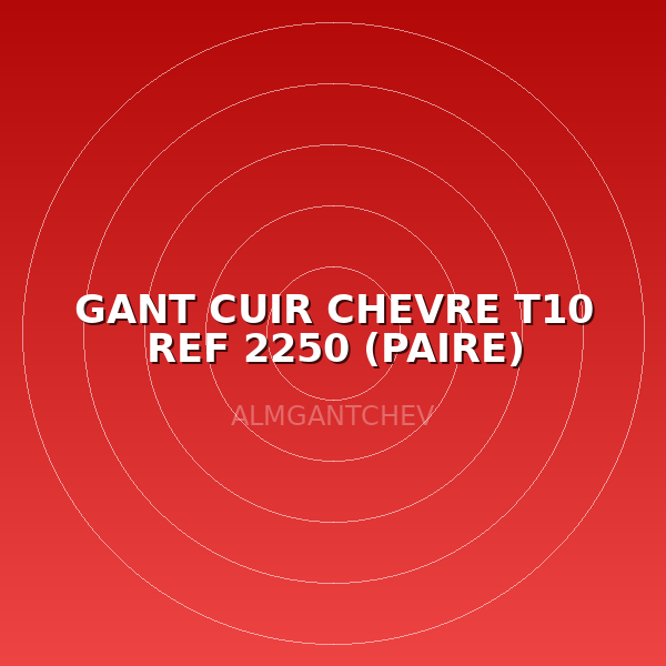 GANT CUIR CHEVRE T10 REF 2250 (PAIRE)