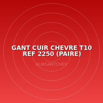 GANT CUIR CHEVRE T10 REF 2250 (PAIRE)