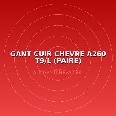 GANT CUIR CHEVRE A260 T9/L (PAIRE)