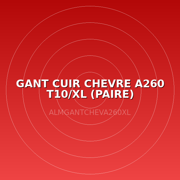 GANT CUIR CHEVRE A260 T10/XL (PAIRE)