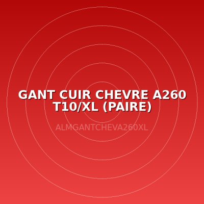 GANT CUIR CHEVRE A260 T10/XL (PAIRE)