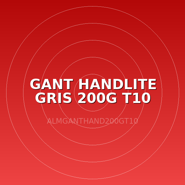 GANT HANDLITE GRIS 200G T10