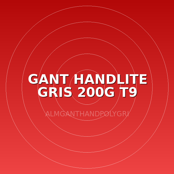 GANT HANDLITE GRIS 200G T9