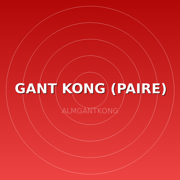 GANT KONG (PAIRE)