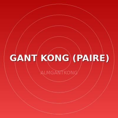 GANT KONG (PAIRE)