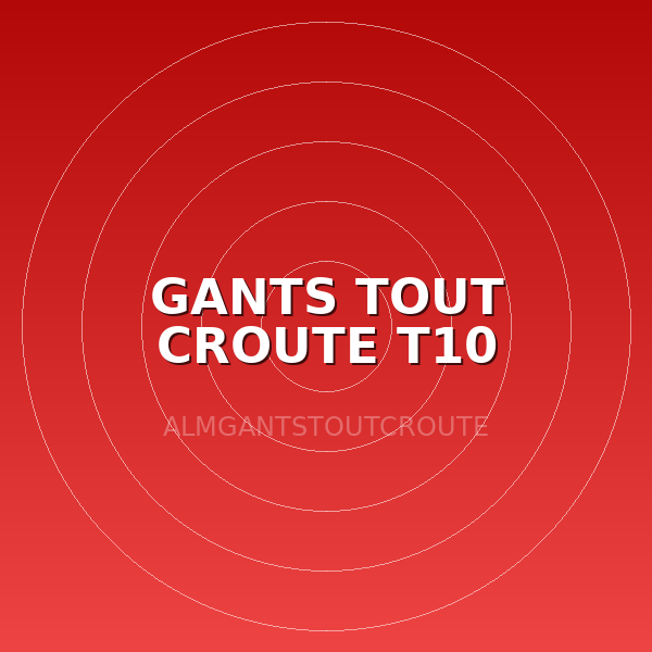 GANTS TOUT CROUTE T10