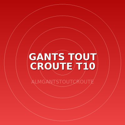 GANTS TOUT CROUTE T10