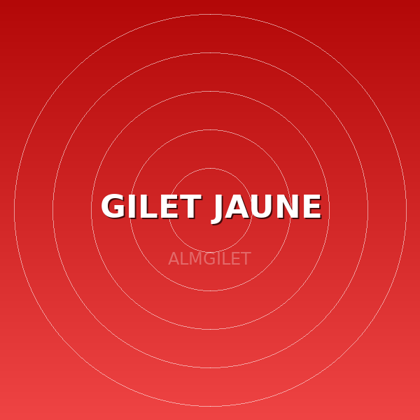 GILET JAUNE