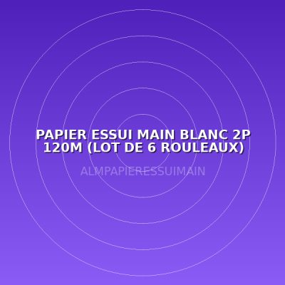 PAPIER ESSUI MAIN BLANC 2P 120M (LOT DE 6 ROULEAUX)