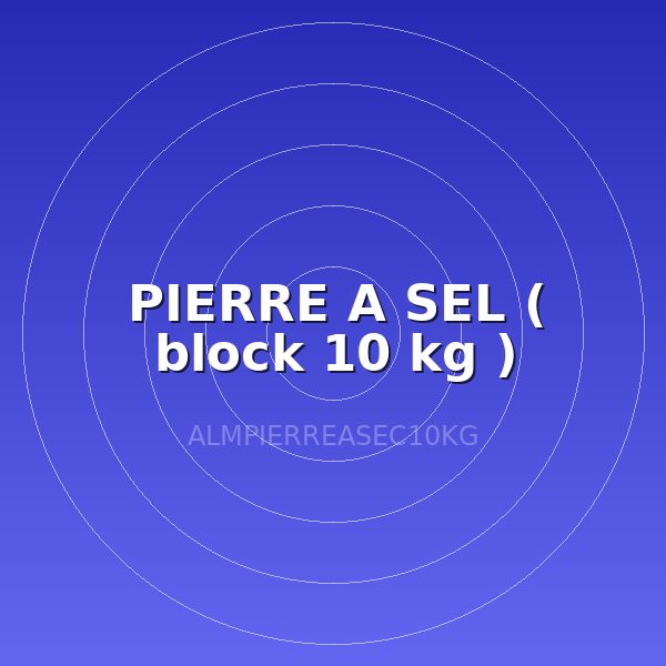 PIERRE A SEL ( block 10 kg )